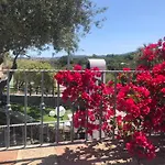 Holiday home International House San Teodoro (Sardinia)